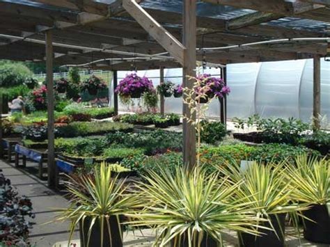 nursery easley sc|bracken nursery easley sc.